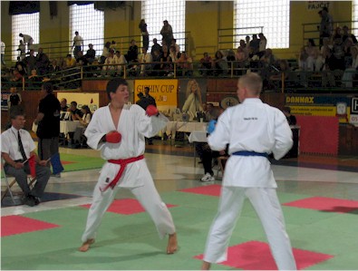 Snímek 061.jpg (40815 bytes)