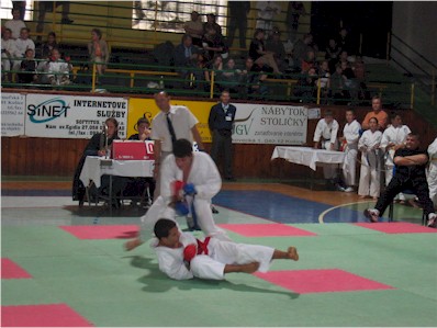 Snímek 068.jpg (39362 bytes)