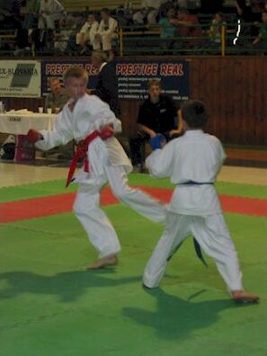 Snímek 090.jpg (17102 bytes)