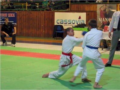 Snímek 091.jpg (37124 bytes)