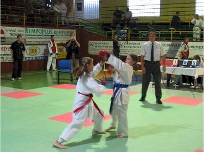 Snímek 093.jpg (23753 bytes)