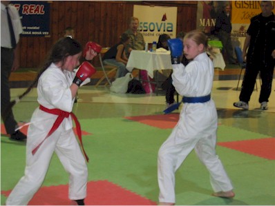 Snímek 103.jpg (33913 bytes)