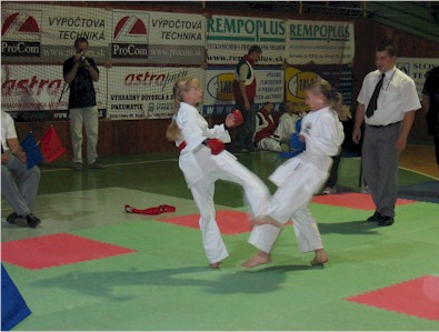 Snímek 108.jpg (36891 bytes)