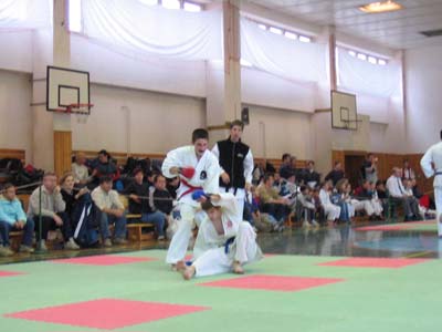 Snímek 011.jpg (25265 bytes)