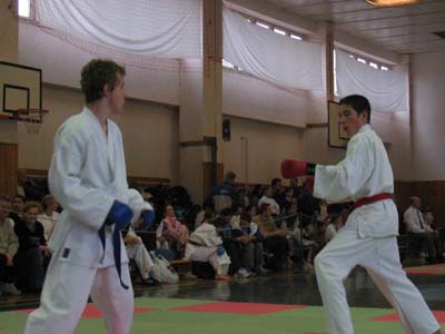 Snímek 020.jpg (24099 bytes)