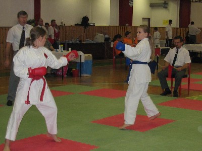 Snímek 001.jpg (33653 bytes)