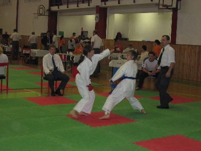 Snímek 028.jpg (31722 bytes)