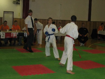 Snímek 057.jpg (27225 bytes)