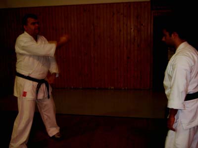 Dojo07100409.jpg (16218 bytes)