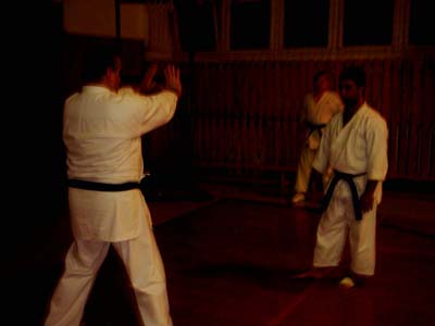 Dojo07100410.jpg (16021 bytes)